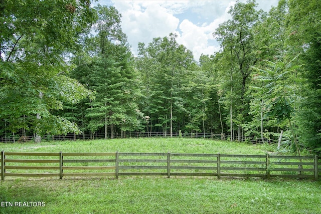 424 Wilderness Ln, Jamestown, TN 38556 - photo 46