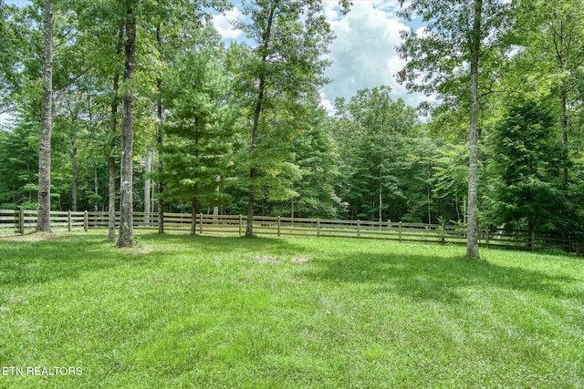 424 Wilderness Ln, Jamestown, TN 38556 - photo 47