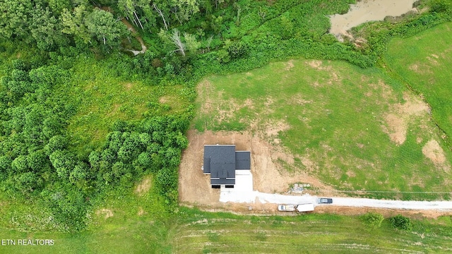 167 Pine Creek Rd, Oneida, TN 37841 - photo 46