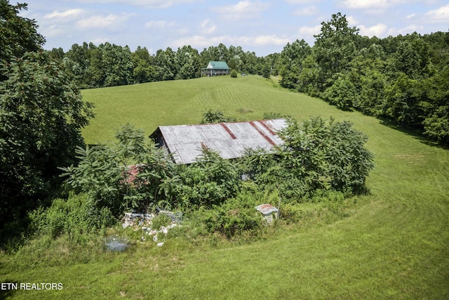 1005 Birdwell Rd, Whitleyville, TN 38588 - photo 32