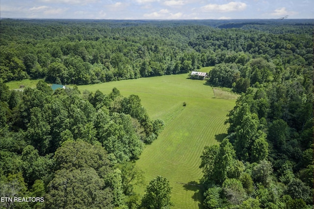 1005 Birdwell Rd, Whitleyville, TN 38588 - photo 39