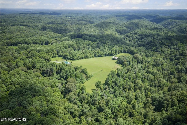 1005 Birdwell Rd, Whitleyville, TN 38588 - photo 42