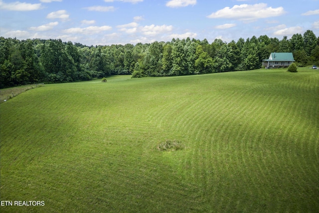 1005 Birdwell Rd, Whitleyville, TN 38588 - photo 34