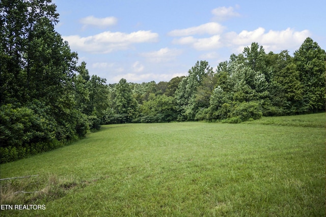 1005 Birdwell Rd, Whitleyville, TN 38588 - photo 33