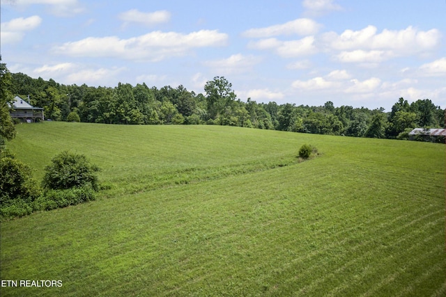 1005 Birdwell Rd, Whitleyville, TN 38588 - photo 35