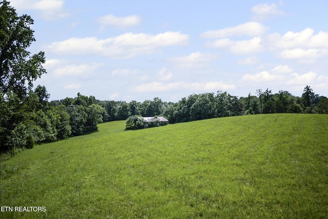1005 Birdwell Rd, Whitleyville, TN 38588 - photo 36