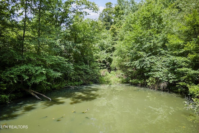 1005 Birdwell Rd, Whitleyville, TN 38588 - photo 7