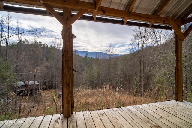 915 Newcombe Branch Way, Cosby, TN 37722 - photo 22
