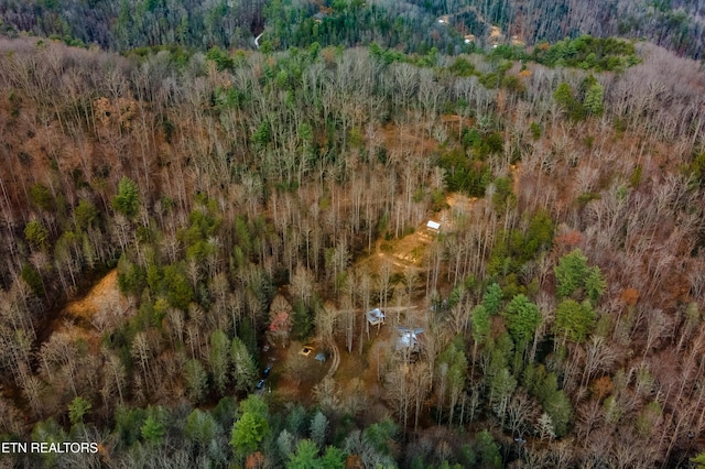915 Newcombe Branch Way, Cosby, TN 37722 - photo 27