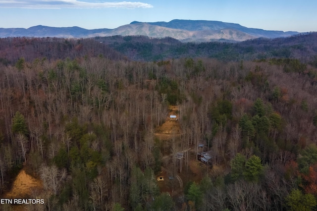 915 Newcombe Branch Way, Cosby, TN 37722 - photo 28