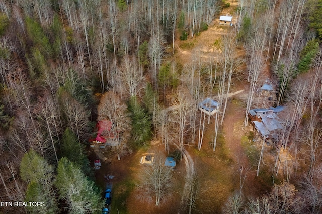 915 Newcombe Branch Way, Cosby, TN 37722 - photo 29