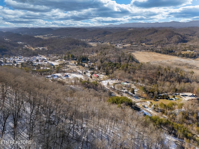 304 E Brushy Valley Dr, Powell, TN 37849 - photo 4