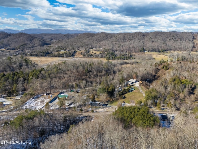 304 E Brushy Valley Dr, Powell, TN 37849 - photo 5