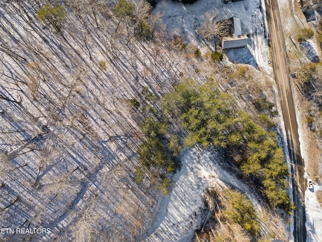 304 E Brushy Valley Dr, Powell, TN 37849 - photo 6
