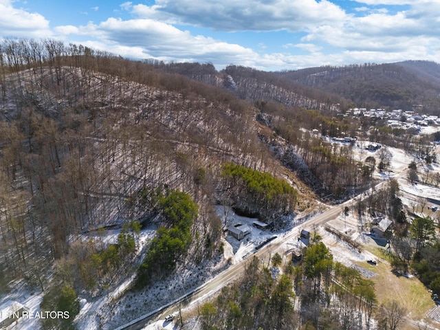 304 E Brushy Valley Dr, Powell, TN 37849 - photo 8