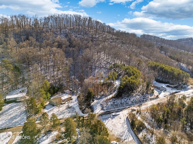 304 E Brushy Valley Dr, Powell, TN 37849 - photo 9
