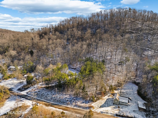 304 E Brushy Valley Dr, Powell, TN 37849 - photo 10