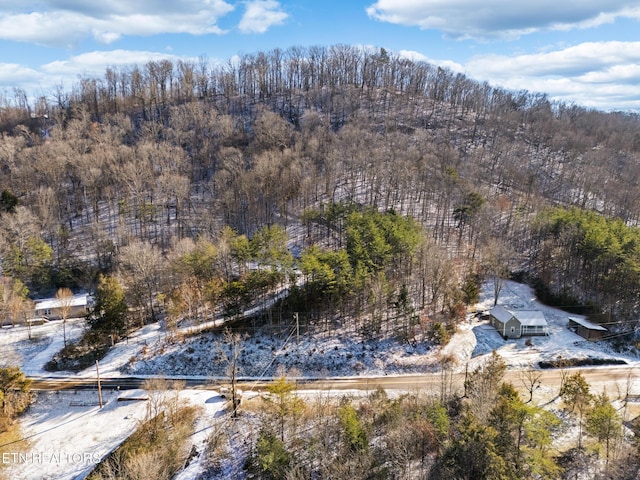 304 E Brushy Valley Dr, Powell, TN 37849 - photo 11