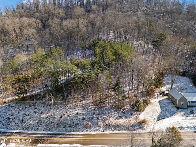 304 E Brushy Valley Dr, Powell, TN 37849 - photo 12