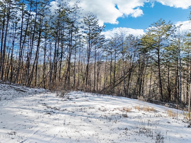 304 E Brushy Valley Dr, Powell, TN 37849 - photo 13