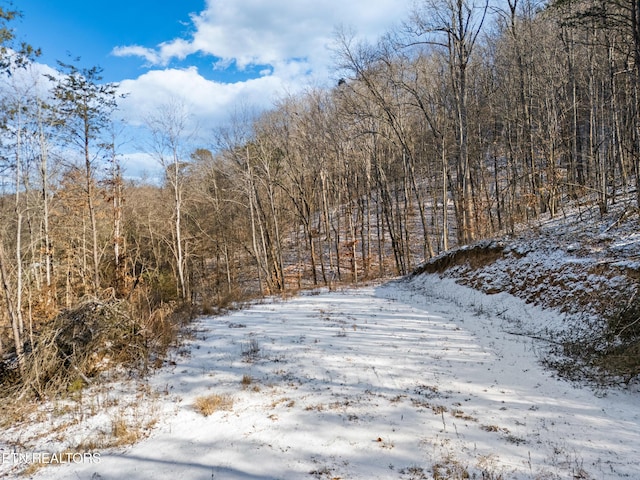 304 E Brushy Valley Dr, Powell, TN 37849 - photo 14