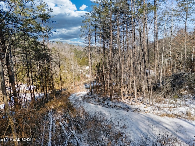 304 E Brushy Valley Dr, Powell, TN 37849 - photo 15