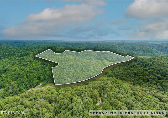 Knob Creek Rd, Celina, TN 38551 - photo 1