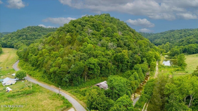 Knob Creek Rd, Celina, TN 38551 - photo 2