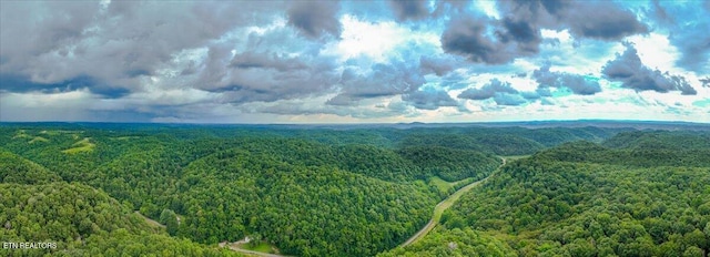 Knob Creek Rd, Celina, TN 38551 - photo 3