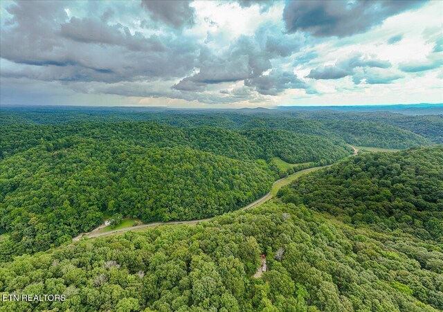 Knob Creek Rd, Celina, TN 38551 - photo 6