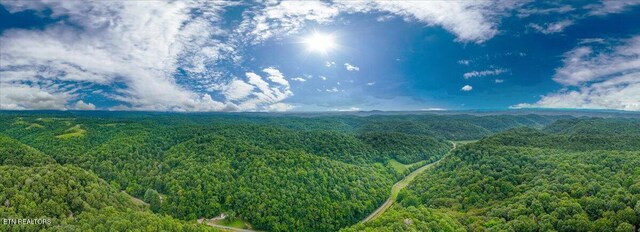 Knob Creek Rd, Celina, TN 38551 - photo 5