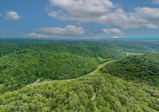 Knob Creek Rd, Celina, TN 38551 - photo 7