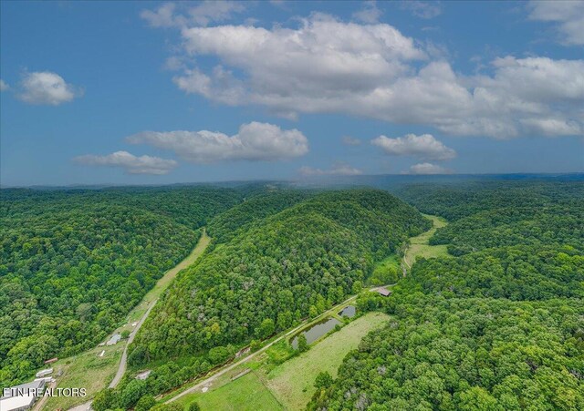 Knob Creek Rd, Celina, TN 38551 - photo 8