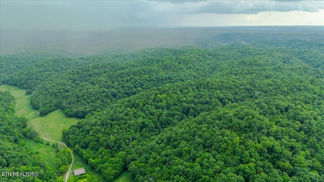 Knob Creek Rd, Celina, TN 38551 - photo 9