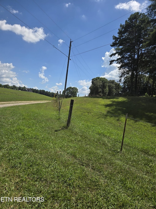 250 County Road 365, Sweetwater, TN 37874 - photo 8