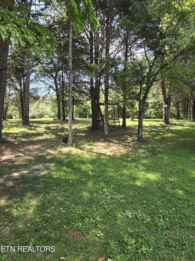 250 County Road 365, Sweetwater, TN 37874 - photo 10