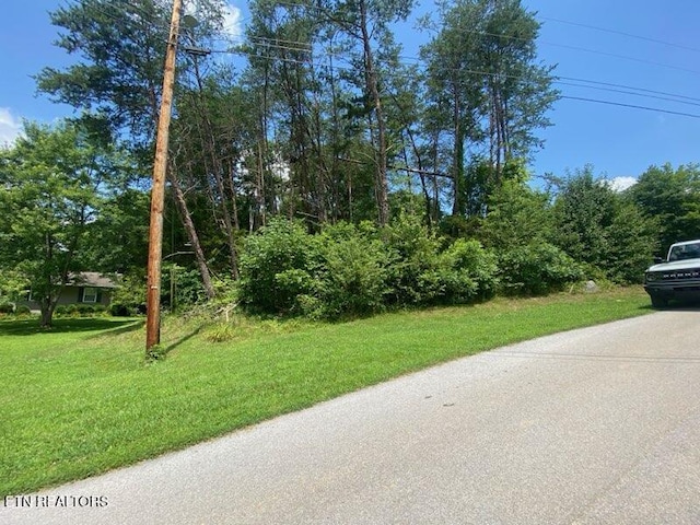 LOT6 Scenic View Dr, Rutledge, TN 37861 - photo 4