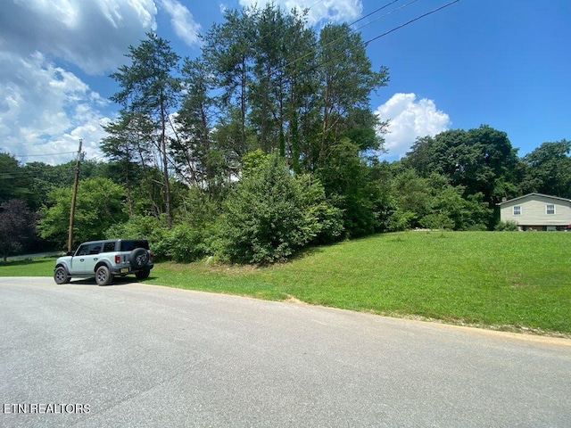 LOT6 Scenic View Dr, Rutledge, TN 37861 - photo 5