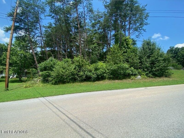LOT6 Scenic View Dr, Rutledge, TN 37861 - photo 1
