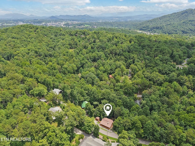 2746 Easy St, Sevierville, TN 37862 - photo 51