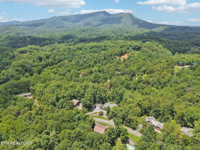 2746 Easy St, Sevierville, TN 37862 - photo 53
