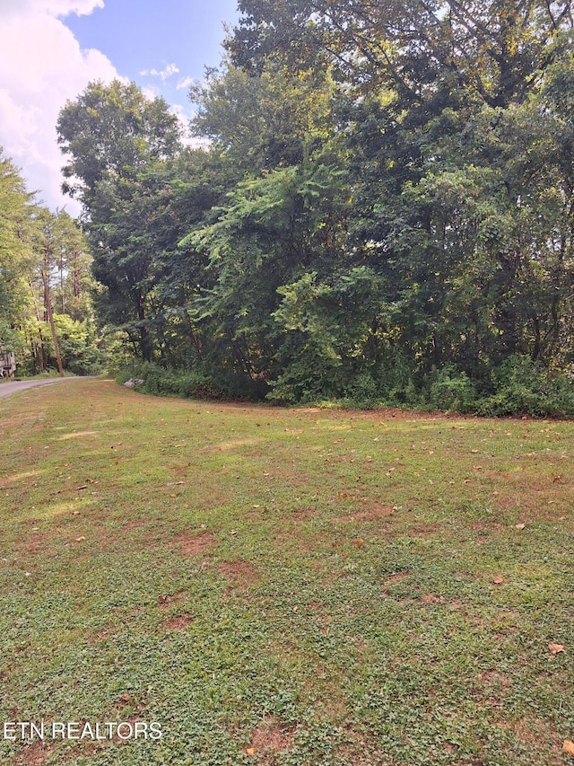Mountain Rd, Tellico Plains, TN 37385 - photo 1