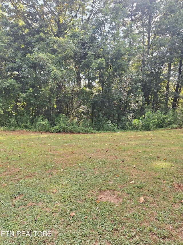 Mountain Rd, Tellico Plains, TN 37385 - photo 2