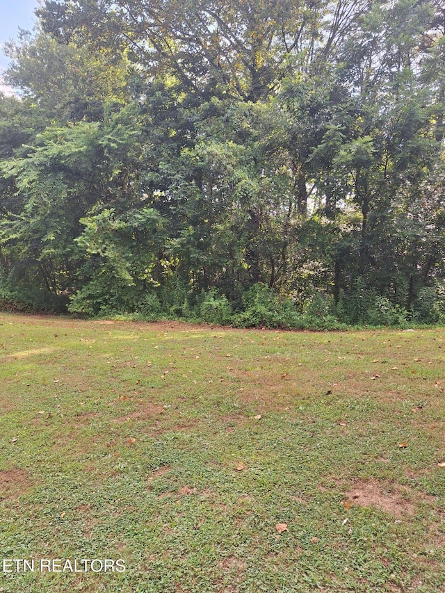 Mountain Rd, Tellico Plains, TN 37385 - photo 3