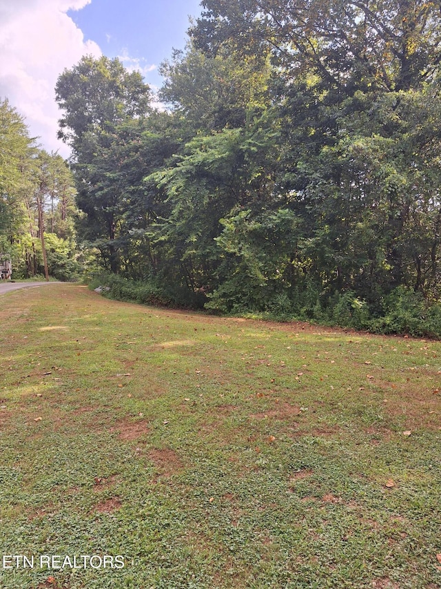 Mountain Rd, Tellico Plains, TN 37385 - photo 4