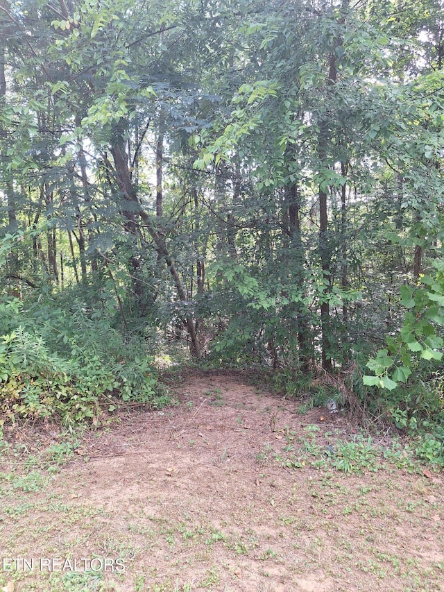 Mountain Rd, Tellico Plains, TN 37385 - photo 5