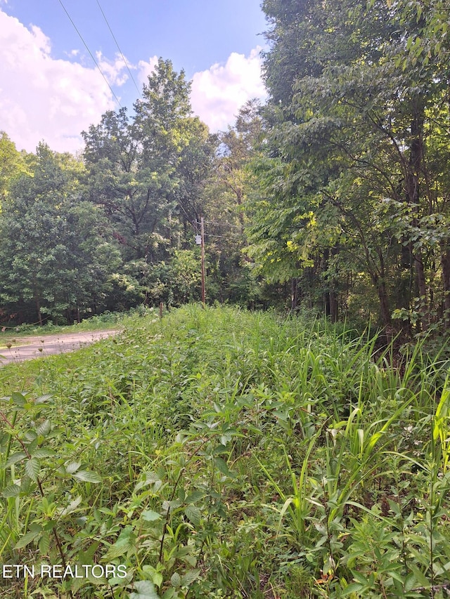 Mountain Rd, Tellico Plains, TN 37385 - photo 7
