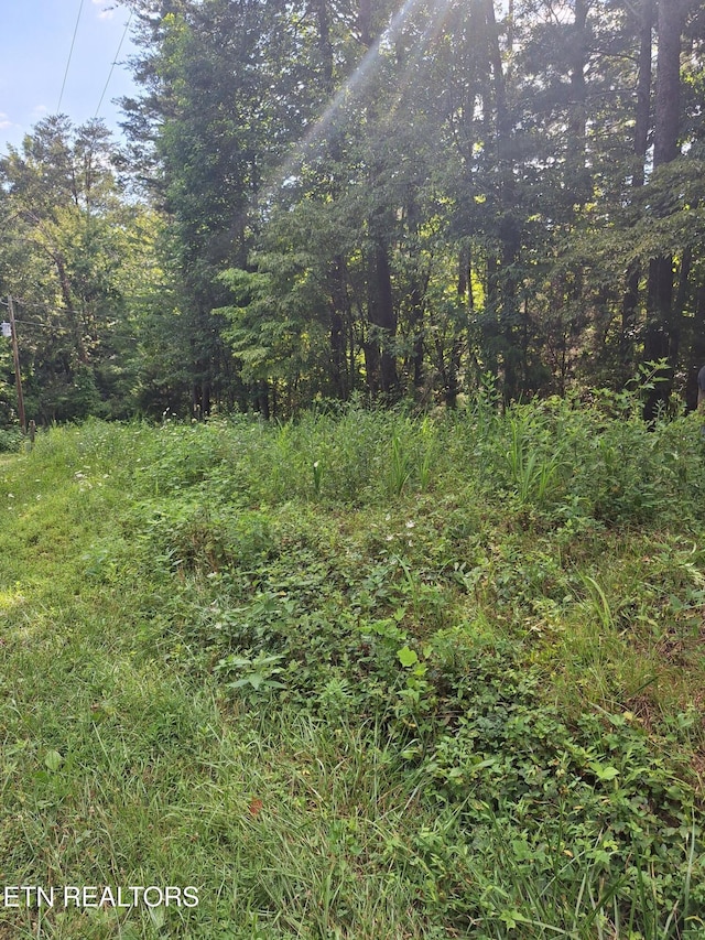 Mountain Rd, Tellico Plains, TN 37385 - photo 12