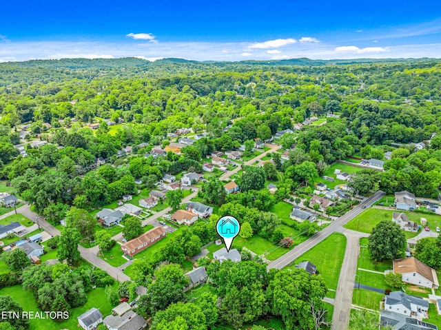 2404 Cedar Ln, Knoxville, TN 37918 - photo 35