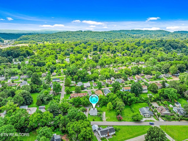 2404 Cedar Ln, Knoxville, TN 37918 - photo 34
